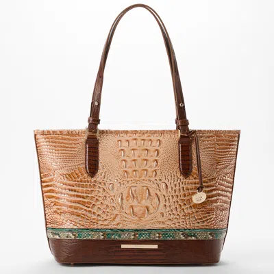 Brahmin Medium Asher In Brown | ModeSens