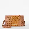 Brahmin Minuette