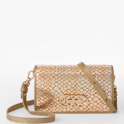 Brahmin Minuette