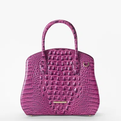 Brahmin Rosetta