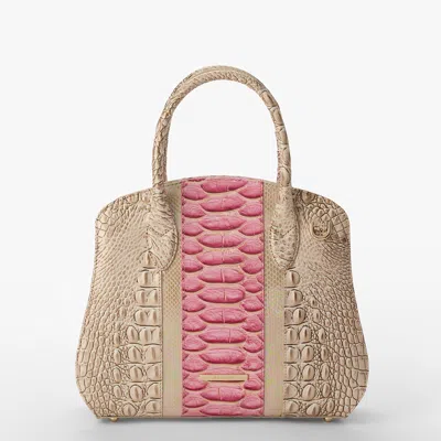 Brahmin Rosetta In Brown