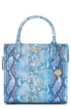 Brahmin Small Caroline Croc Embossed Leather Satchel In Joyful