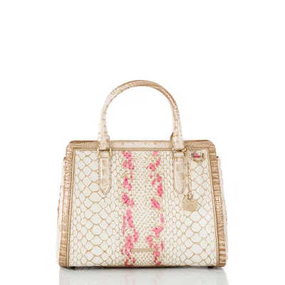 Brahmin Small Finley Apricot Rose Valentia In Neutral
