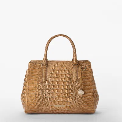 Brahmin Small Finley In Brown