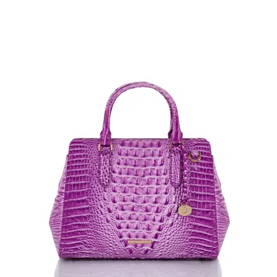 Brahmin Small Finley Lilac Essence Melbourne In Lilacessence