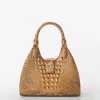 Brahmin Tabitha