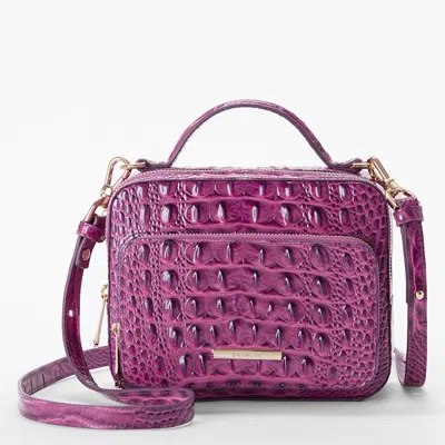 Brahmin Tori