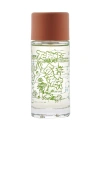 Brain Dead Apothecary Terra Former Perfume In Multi