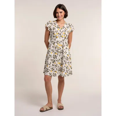 Brakeburn Renata Dress In Multi