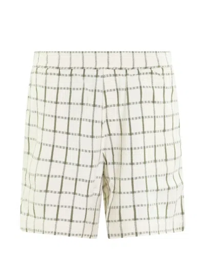 Bram's Fruit Tea Cloth Checked Shorts In White