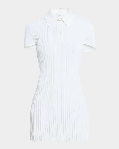 Brandon Maxwell Alice Pleated Polo Mini Dress