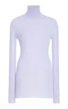 Brandon Maxwell The Bobbi  Sheer Knit Cotton-blend Turtleneck In Blue
