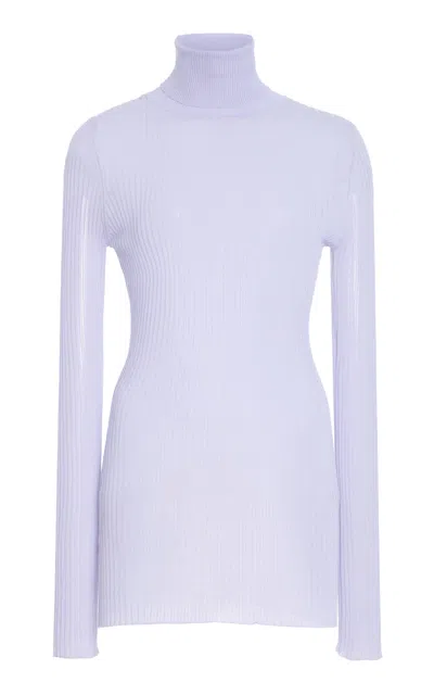 Brandon Maxwell The Bobbi  Sheer Knit Cotton-blend Turtleneck In Blue