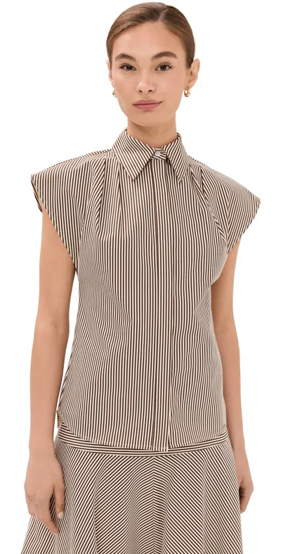 Brandon Maxwell The Gabi Pleated Striped Cotton-twill Shirt In Brown