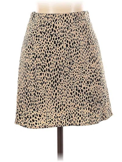 Pre-owned Brandy Melville Casual Skirt In Brown