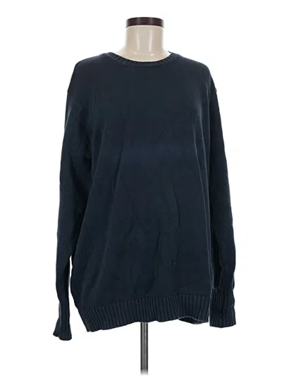 Pre-owned Brandy Melville Pullover Sweater In Blue