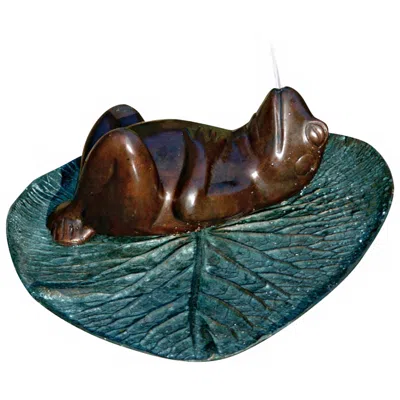 Brass Baron Darn Frog 14" High Cast Brass Water Spitter Pond Fountain - Made To Order
