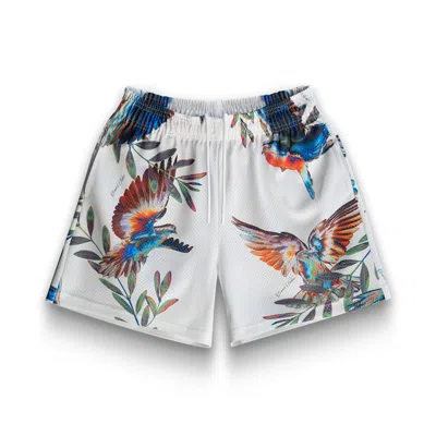 Pre-owned Bravest Studios Men's  Birds Of Paradise Shorts In Multi