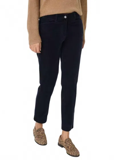 Brax Corduroy Chino Pants In Navy In Blue