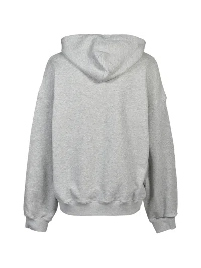 Breath Eagle Hoodie In Gray