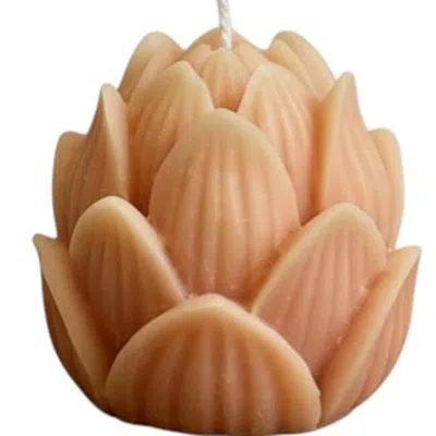 Breebe 2" Orange Day At The Spa Scented Dimensional Flower Candle In Pink