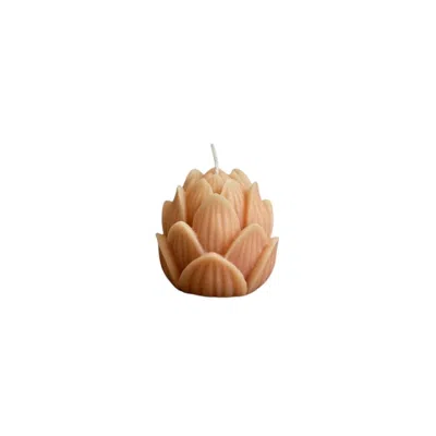 Breebe 2" Orange French Market Scented Dimensional Flower Candle In Pink