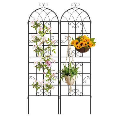 Breebe 2 Pack 71" X 20" Metal Garden Trellis For Outdoor Climbing Plants In Black