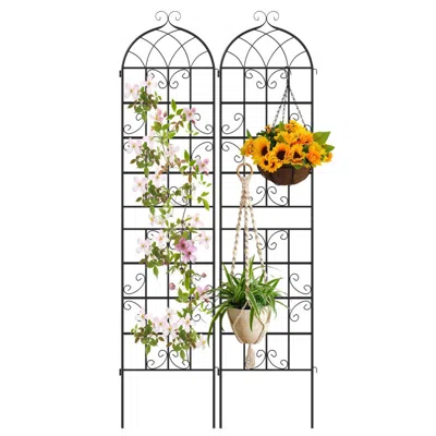 Breebe 2 Pack 86" X 20" Metal Garden Trellis For Outdoor Climbing Plants In Black