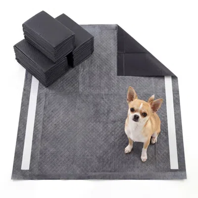 Breebe 24" X 24" Charcoal Dog Pee Pads 6-layer For Dogs In Purple
