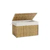 Breebe 27.7 Gallon Woven Storage Basket With Lid