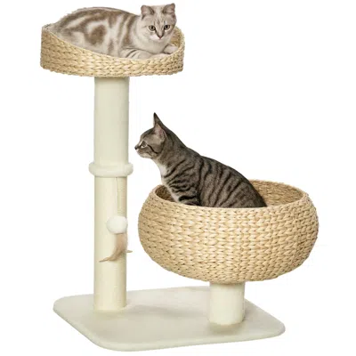 Breebe 28 Inch Elevated Cat Bed With Sisal Scratching Post And Basket Design In Purple