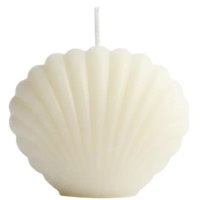 Breebe 3" Ivory Unscented Dimensional Seashell Candle In Neutral