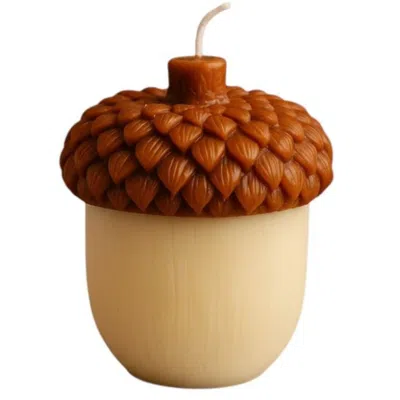 Breebe 4" Brown And Ivory Pumpkin And Apple Scented Dimensional Acorn Candle