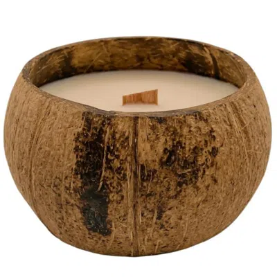 Breebe 4" Ivory Orchid And Sea Salt Scented Candle In Brown Coconut Shell Holder
