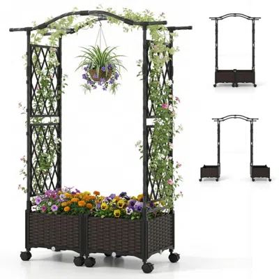 Breebe 5 Ft Self-watering Planter Boxes With Lattice Trellis And Roof In Black