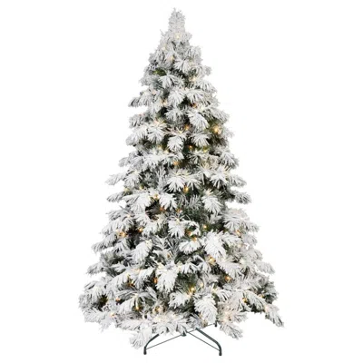 Breebe 5' Green And White Pre Lit Full Flocked Pine Christmas Tree