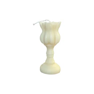 Breebe 5" Ivory Unscented Dimensional Flower Candle In White