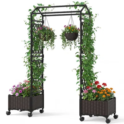 Breebe 5.5 Ft Self-watering Planter Boxes With Lattice Trellis And Roof In Brown