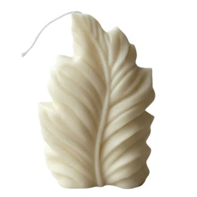 Breebe 6" Ivory Unscented Dimensional Feather Candle In Neutral