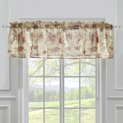 Breebe Antique Rose Ecru Window Valance In Multi