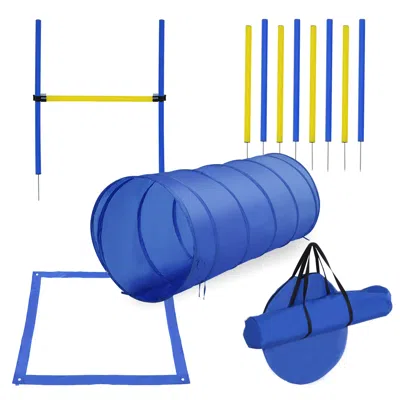 Breebe Backyard Competitive Dog Agility Training Kit Obstacle Course Equipment In Blue
