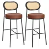 Breebe Bar Stools Set Of 2, Bar Height Bar Stool With Pe Rattan Back