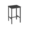 Breebe Bar Table With Metal Frame Ebony Black And Black