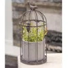 Breebe Birdcage Planter With Rustic Cement Pot In Brown