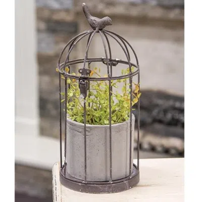 Breebe Birdcage Planter With Rustic Cement Pot In Brown