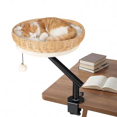 Breebe Cat Desk Bed With Removable Padded Cushion For Indoor Cats In Multi