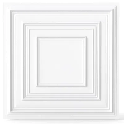Breebe Drop Ceiling Tiles 24" X 24" Pvc Ceiling Panels With 3d Decorative Patterns 12-pack In White