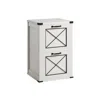 Breebe File Cabinet With 2 Drawers Rustic White
