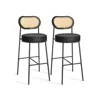 Breebe Height Bar Stool With Pe Rattan Back Set Of 2 In Black