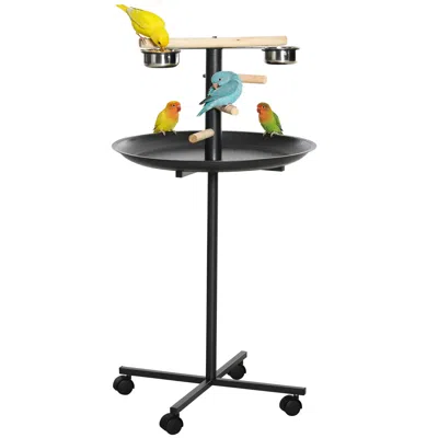 Breebe Parrot Perch Bird Feeder Station With Wheels In Grey